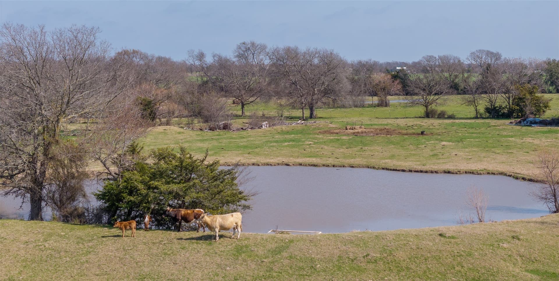161.39 acres in Hunt County - photo 29