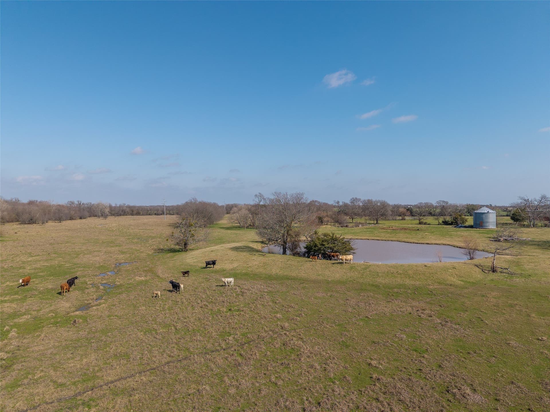 161.39 acres in Hunt County - photo 28