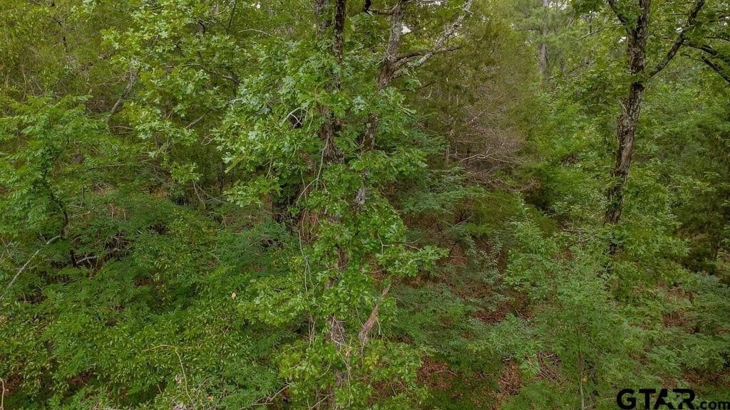 0.61 acres in Smith County gallery image 4