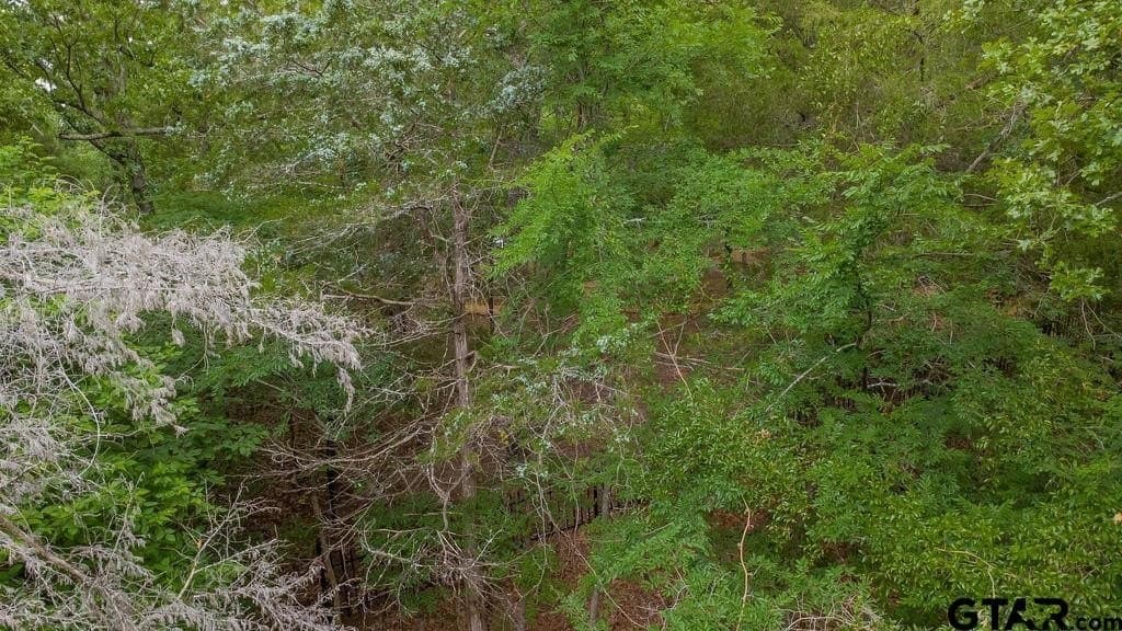 0.61 acres in Smith County featured view