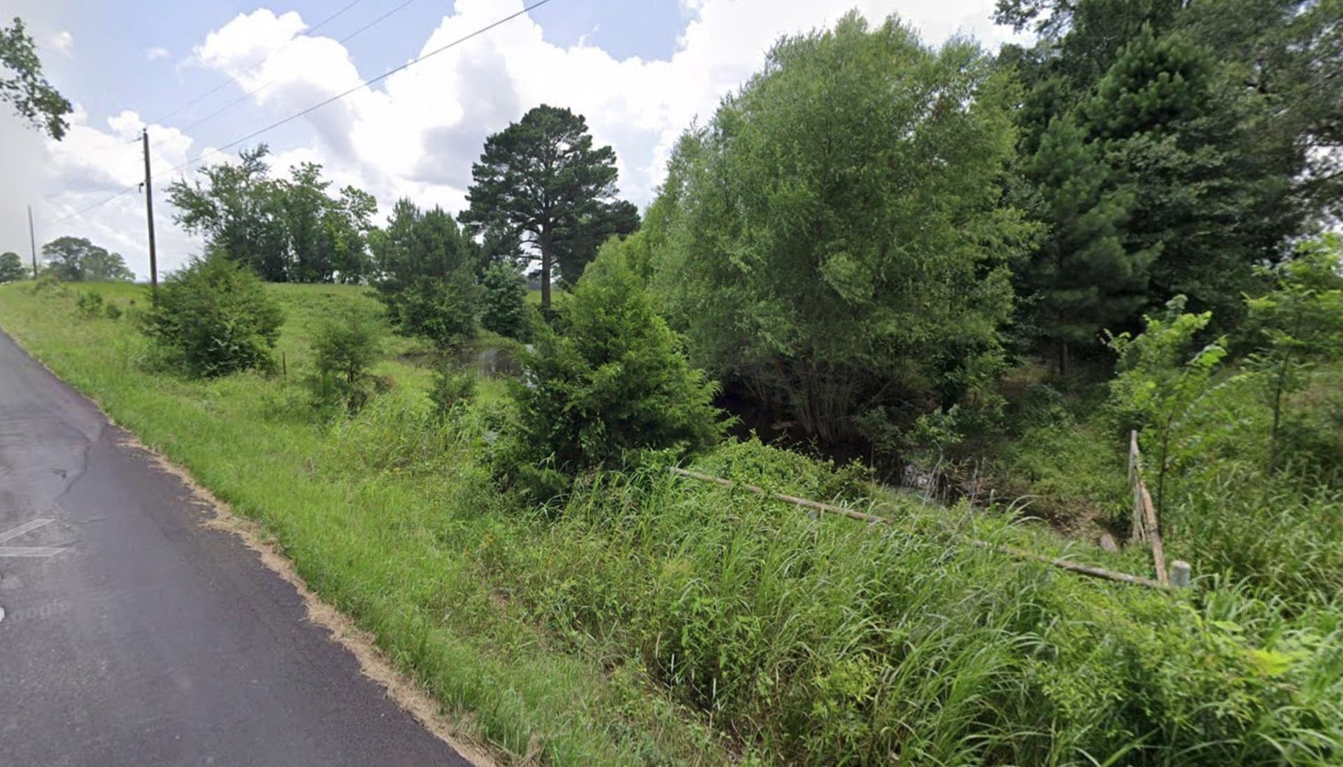 2 acres in Rains County gallery image 3