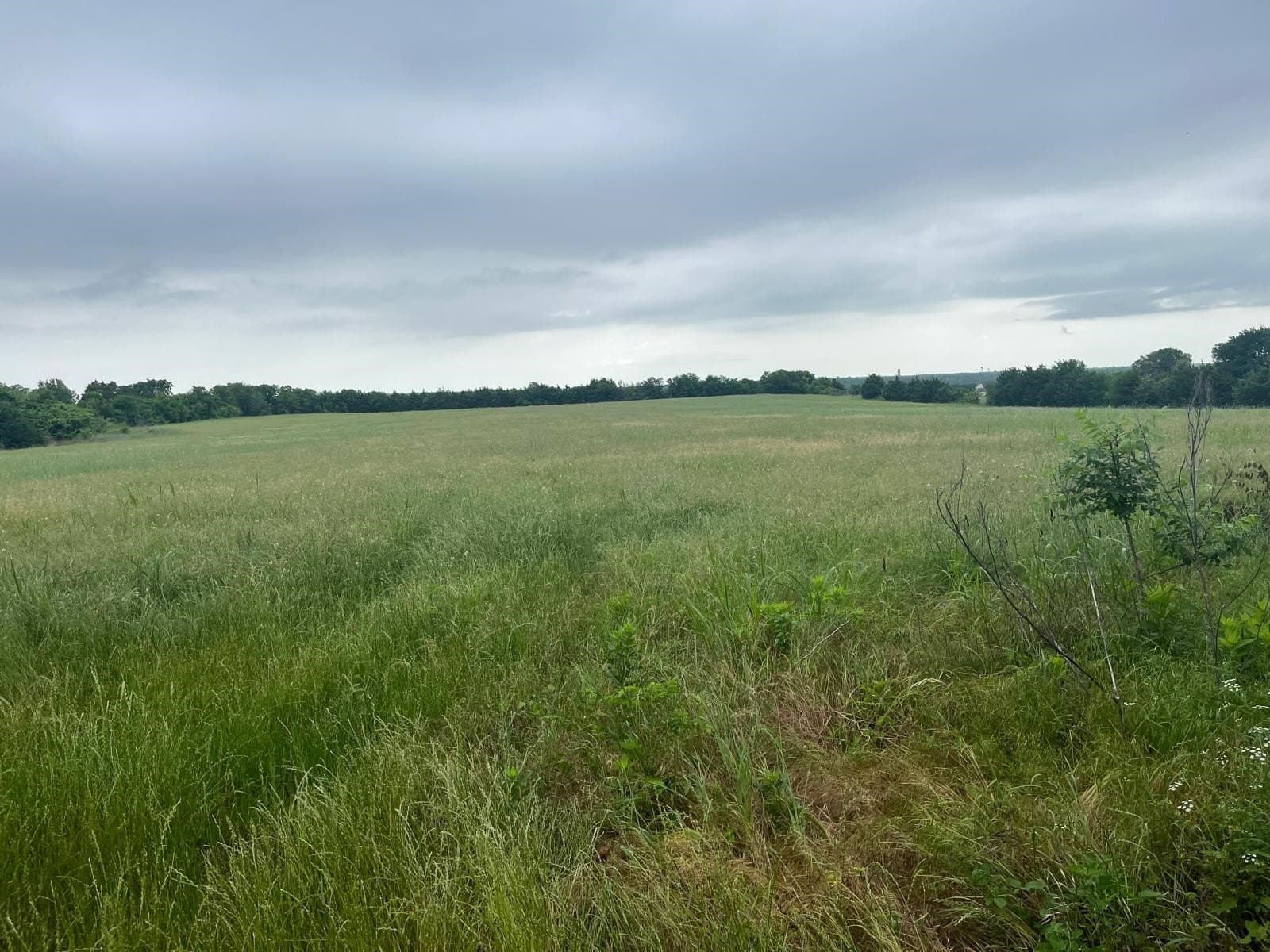 33.48 acres in Collin County - photo 7