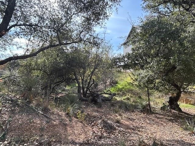 0.28 acres in Burnet County - photo 8