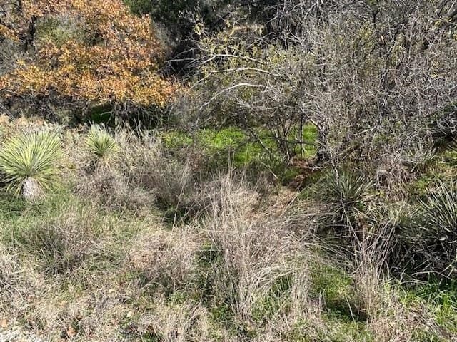 0.28 acres in Burnet County - photo 6