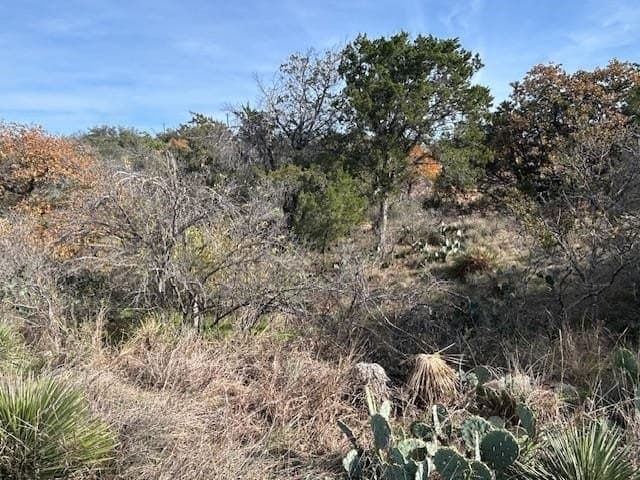0.28 acres in Burnet County featured view