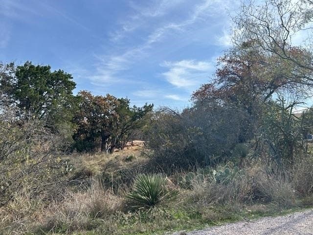 0.28 acres in Burnet County gallery image 2