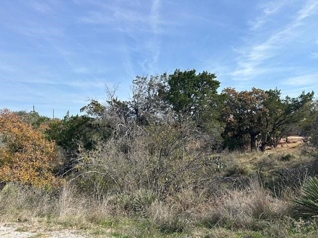 0.28 acres in Burnet County gallery image 4