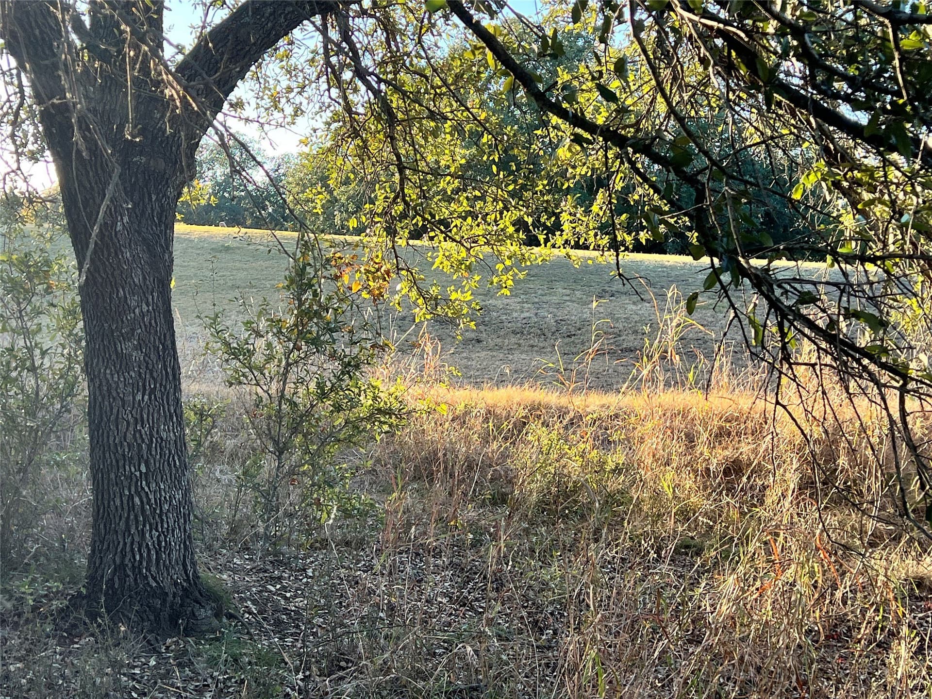0.29 acres in Brown County - photo 7