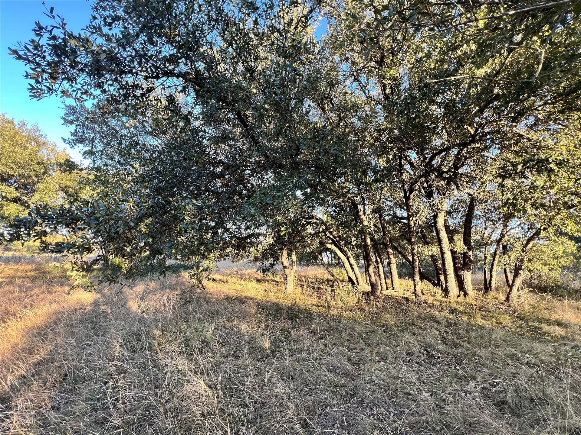 0.29 acres in Brown County - photo 15