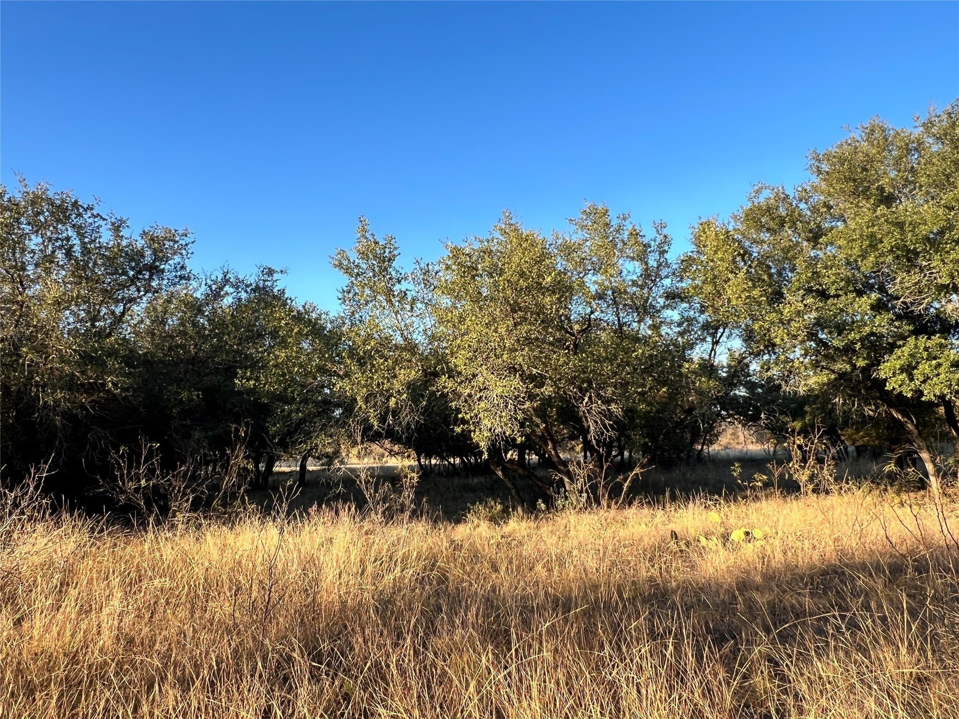 0.29 acres in Brown County - photo 16