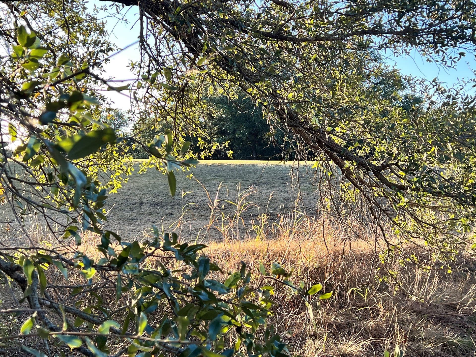 0.29 acres in Brown County - photo 8