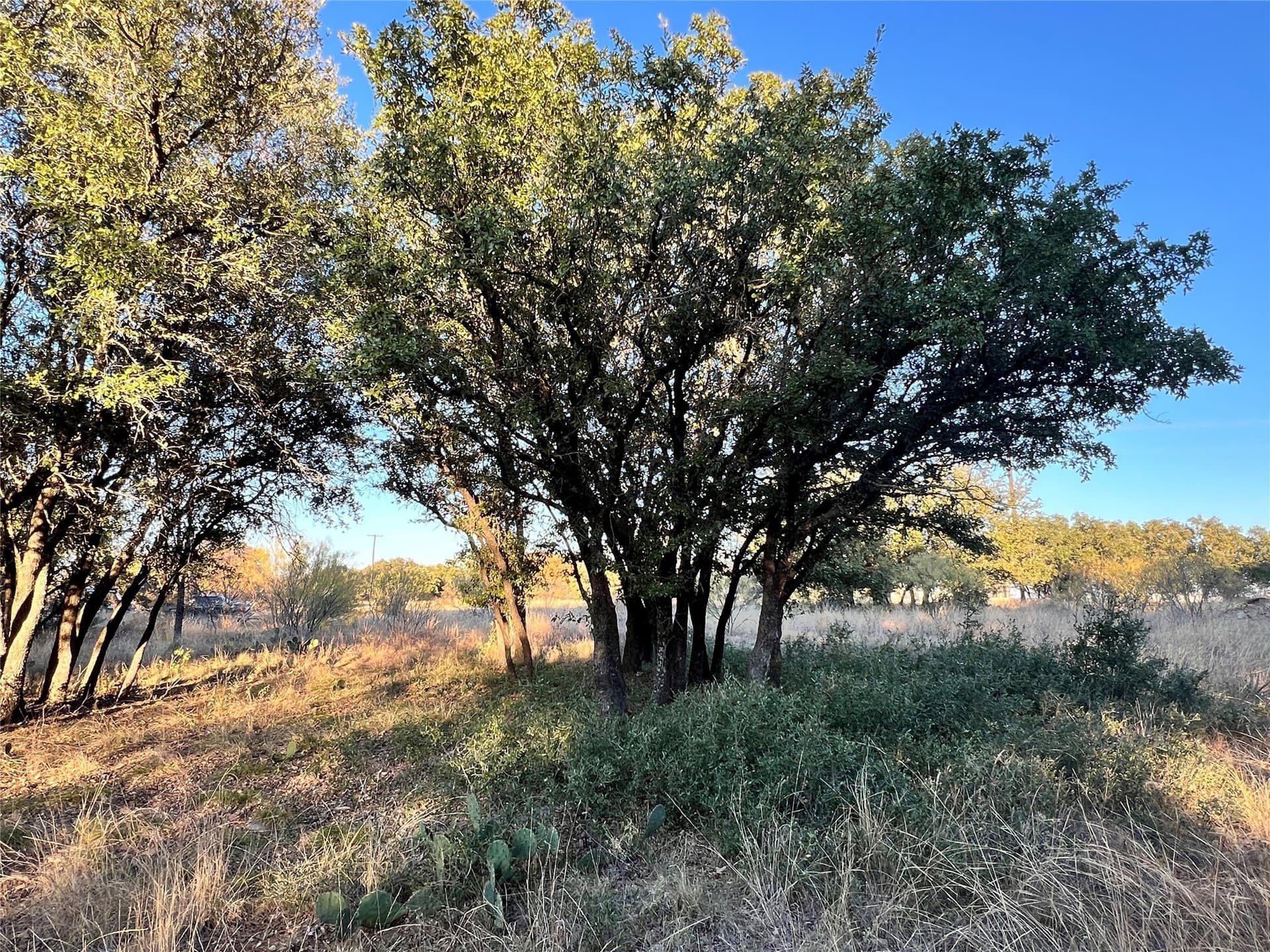 0.29 acres in Brown County - photo 17