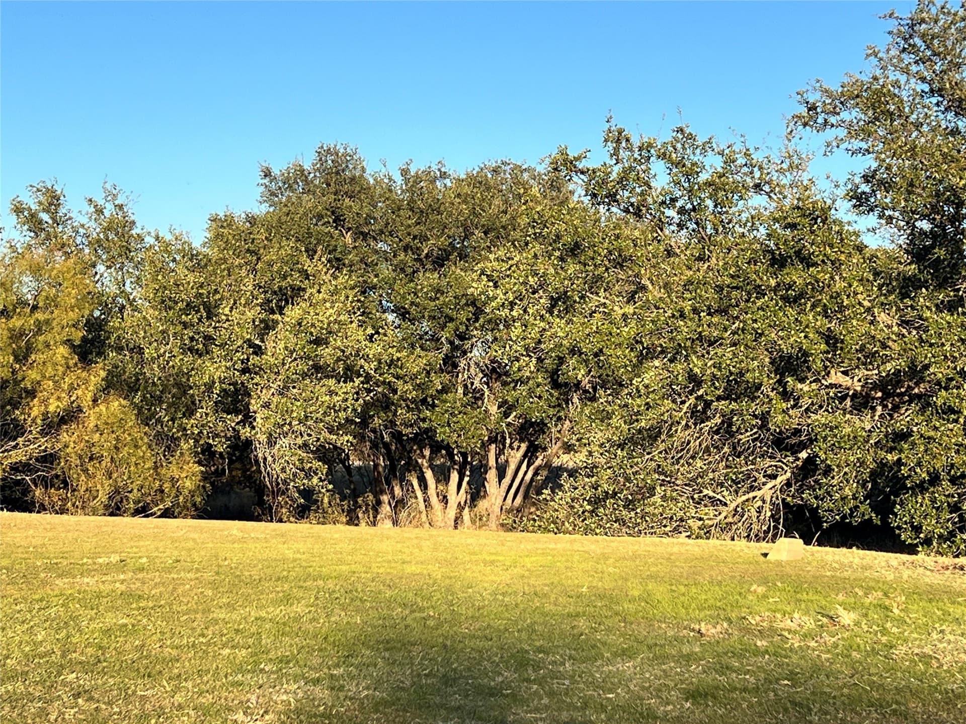 0.29 acres in Brown County - photo 11