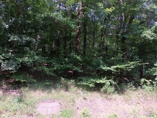 1.27 acres in Gregg County gallery image 2