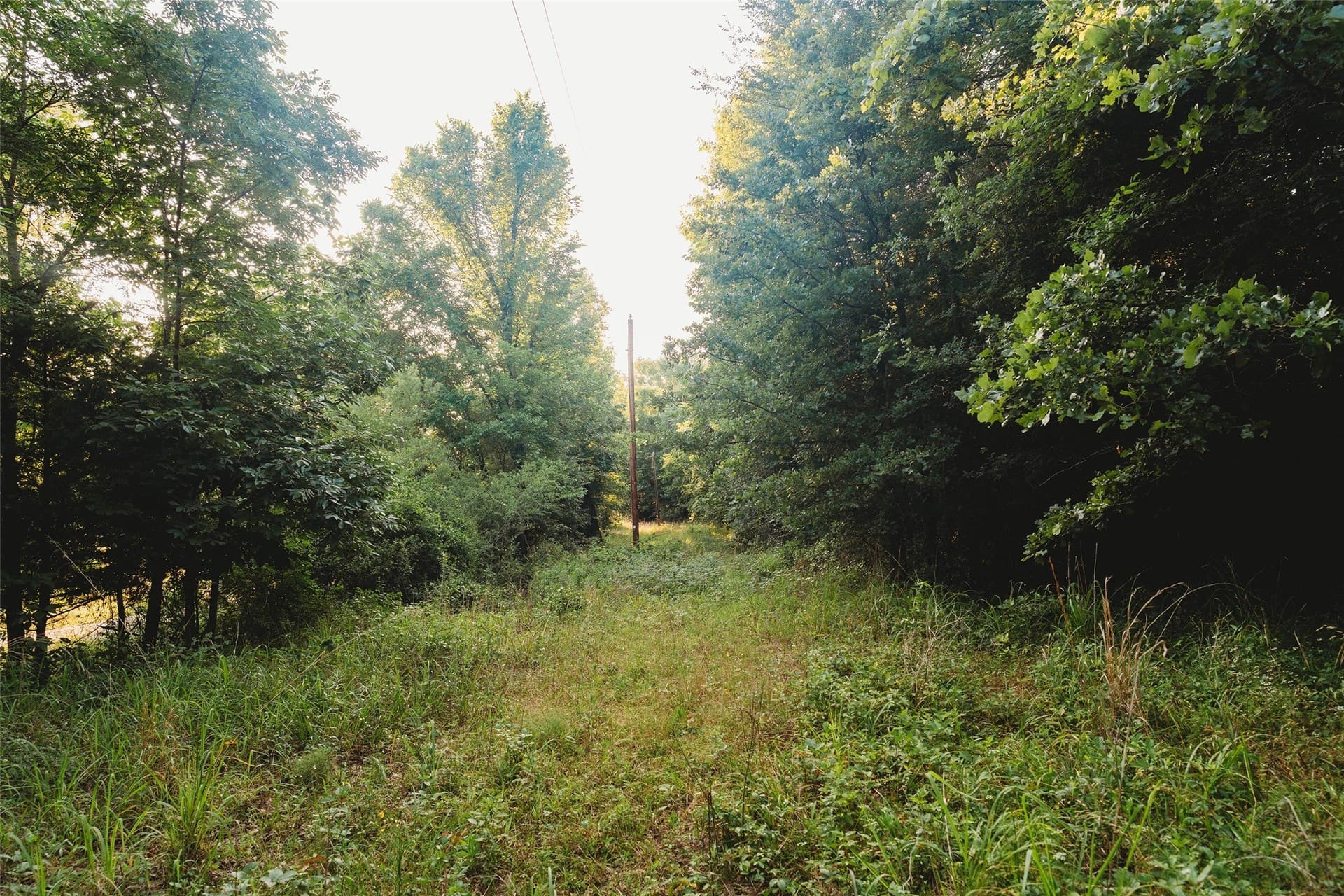 40 acres in Red River (TX) County - photo 21