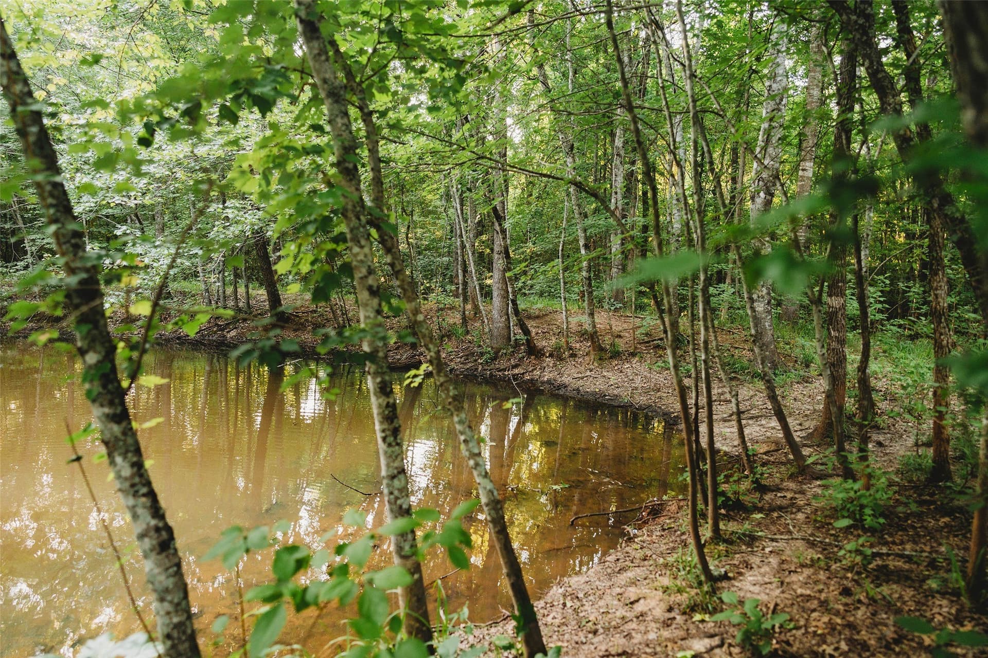 40 acres in Red River (TX) County