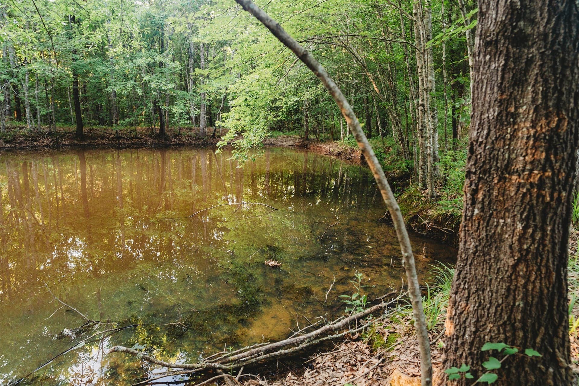 40 acres in Red River (TX) County - photo 19