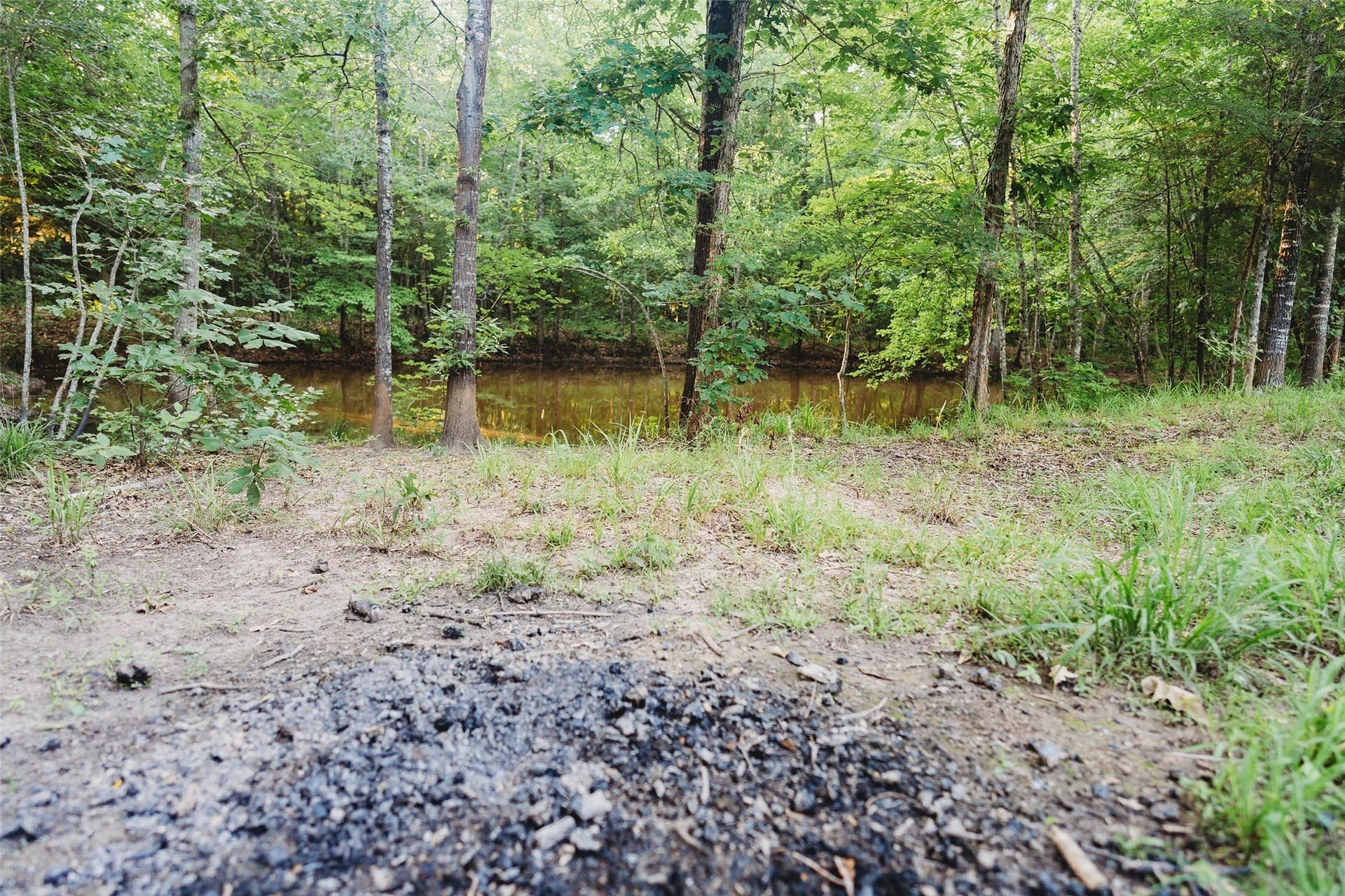 40 acres in Red River (TX) County - photo 12
