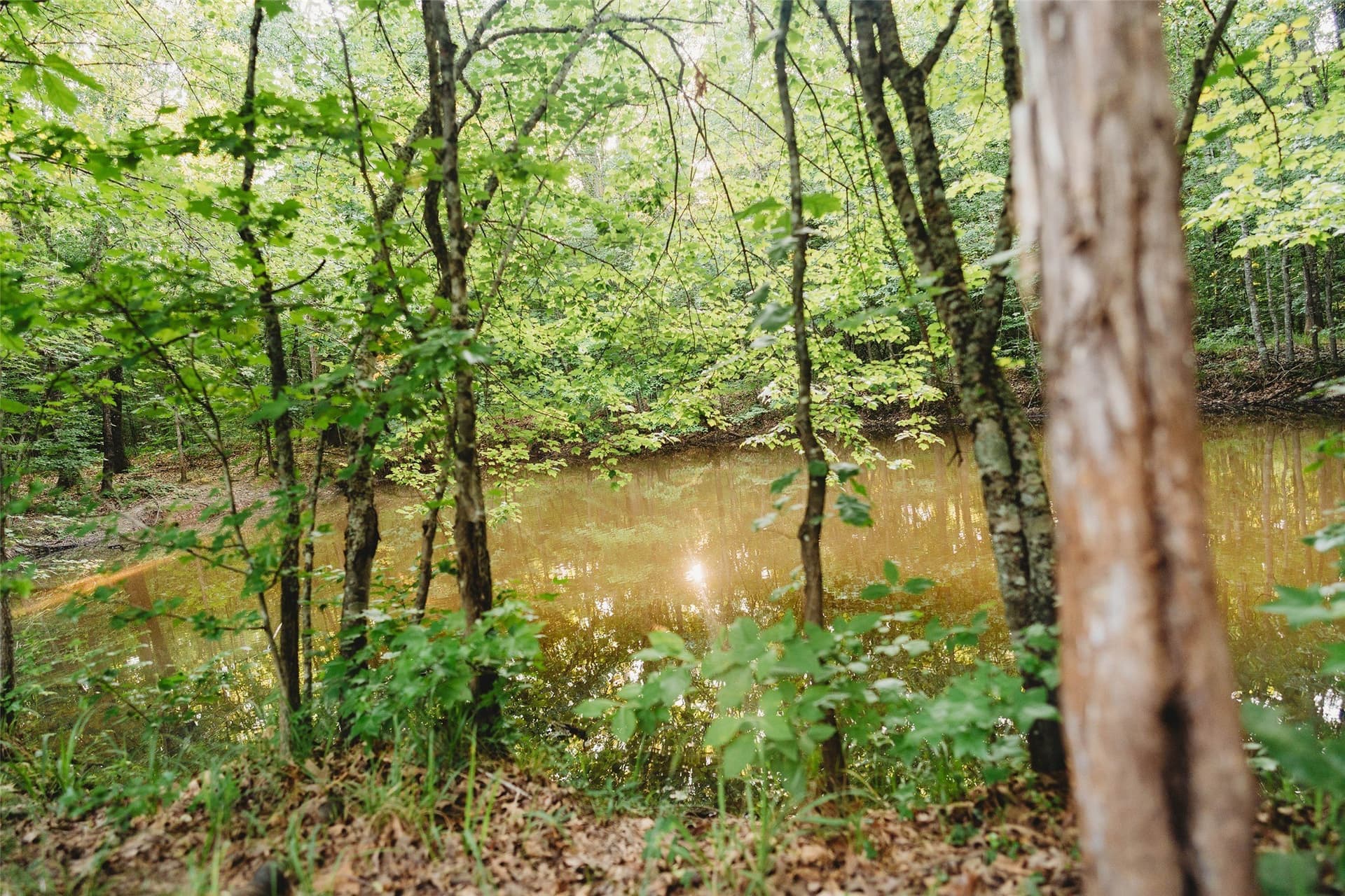 40 acres in Red River (TX) County - photo 14