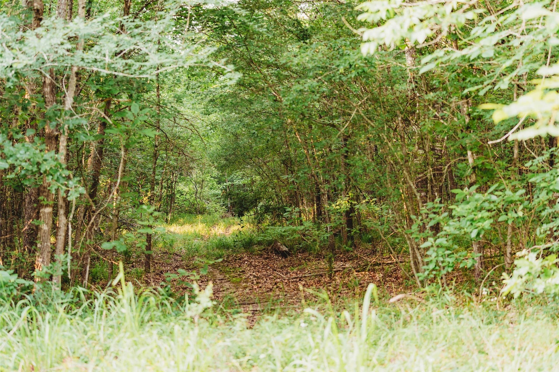 40 acres in Red River (TX) County - photo 22