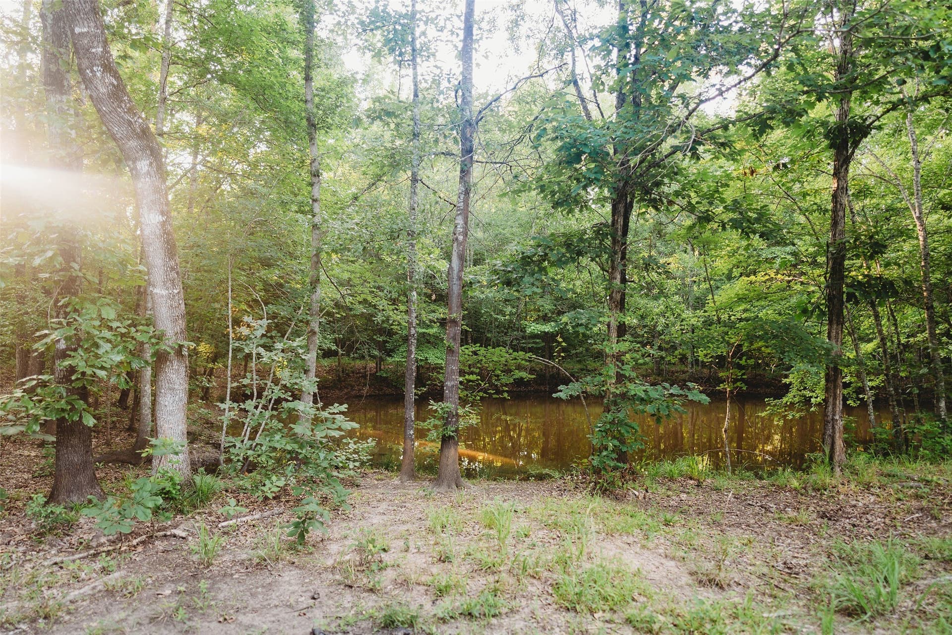 40 acres in Red River (TX) County - photo 11