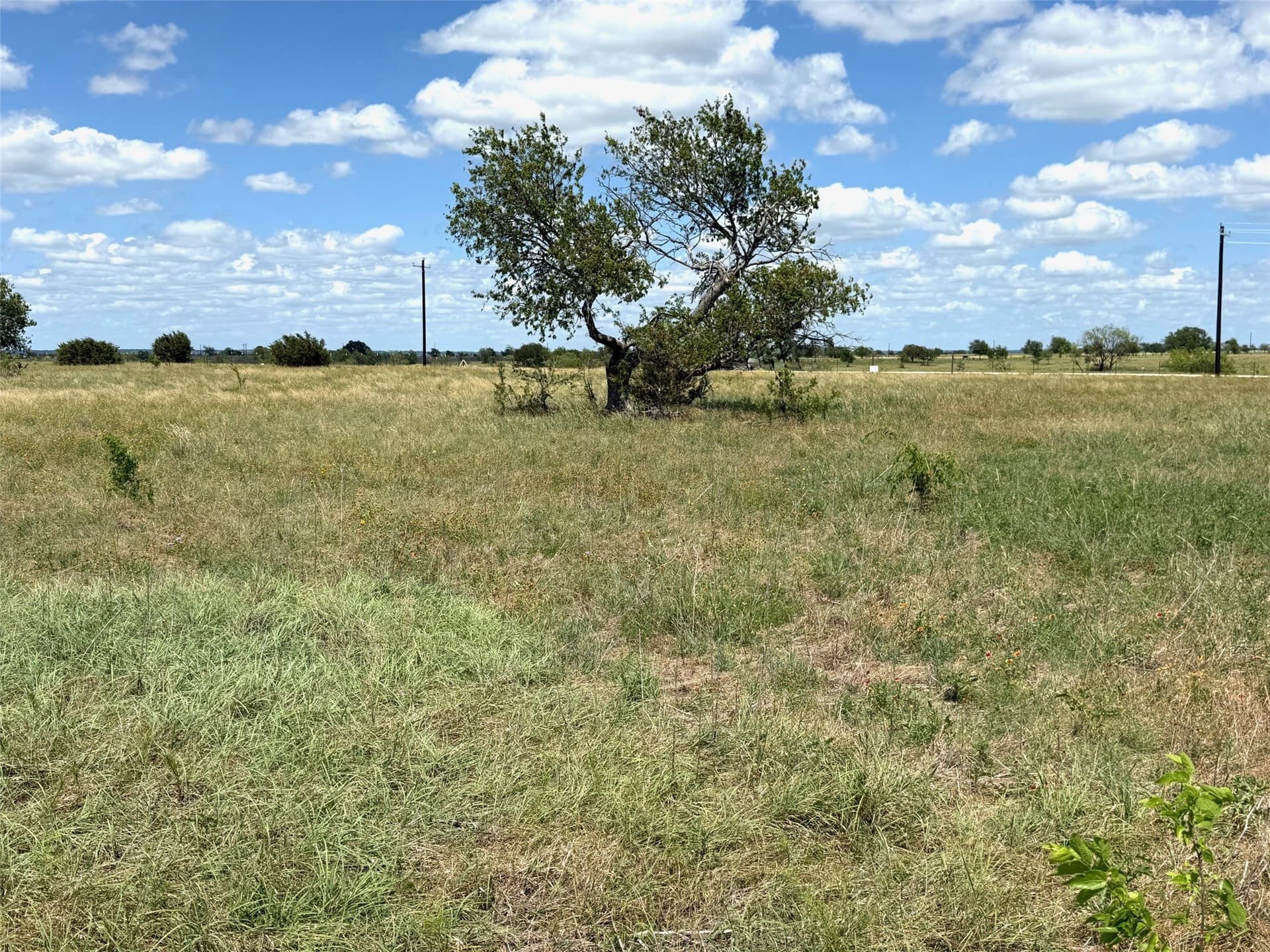 10.01 acres in Hamilton County - photo 6