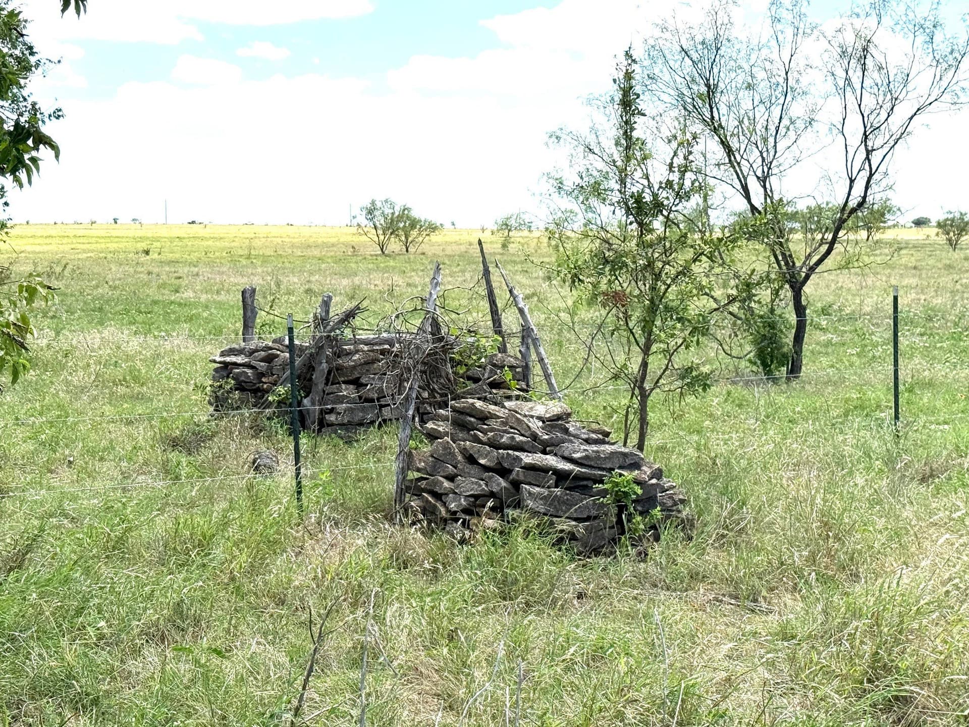 10.01 acres in Hamilton County gallery image 3