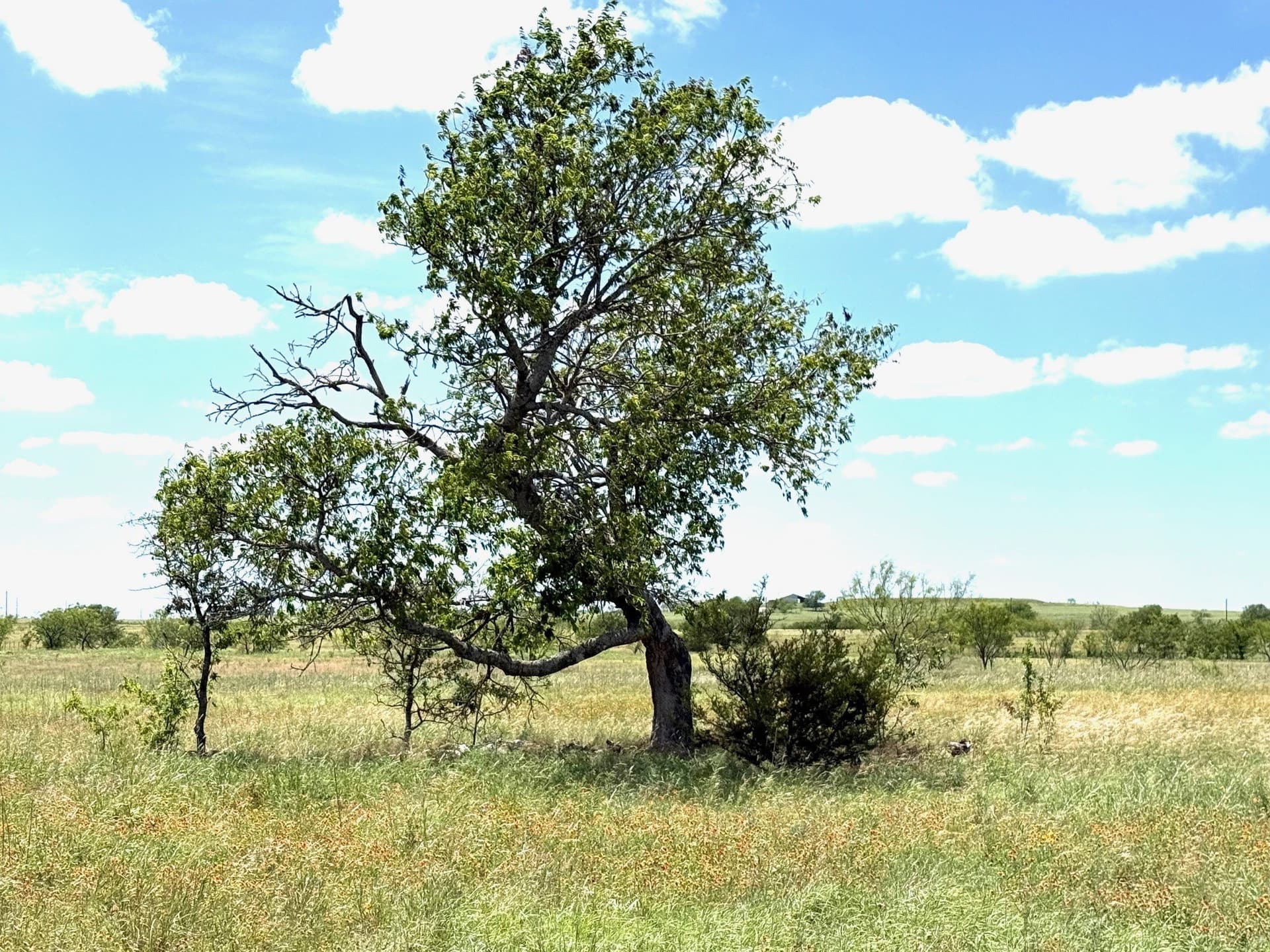 10.01 acres in Hamilton County gallery image 4