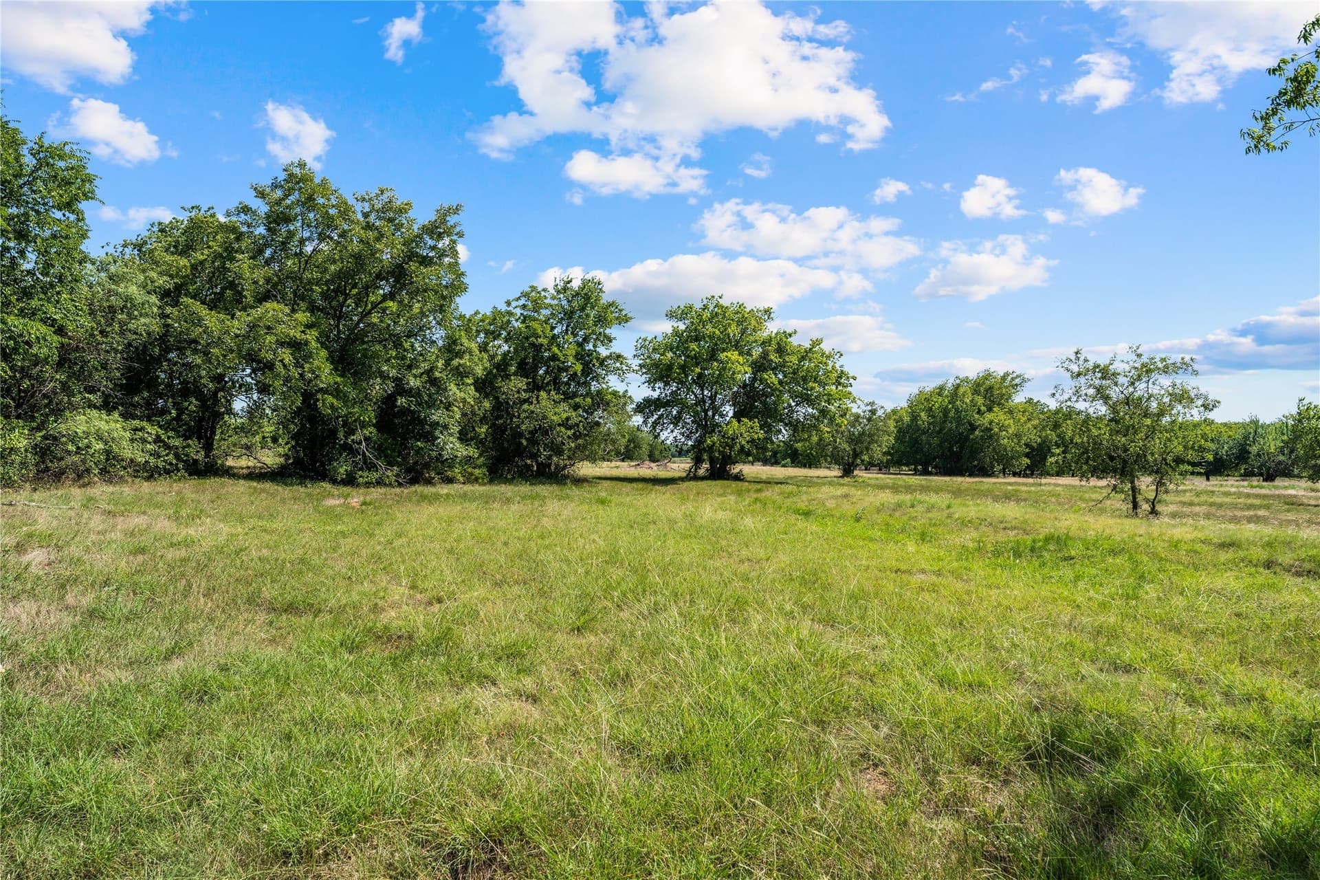 3.1 acres in Hill County - photo 3