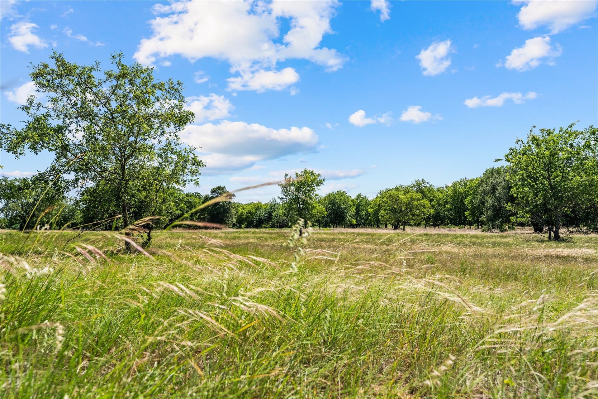 3.1 acres in Hill County - photo 4