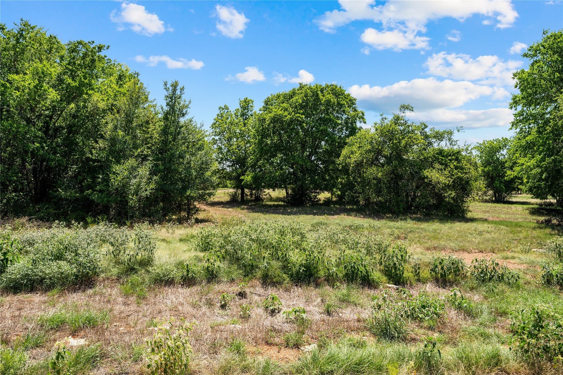 3.1 acres in Hill County - photo 2