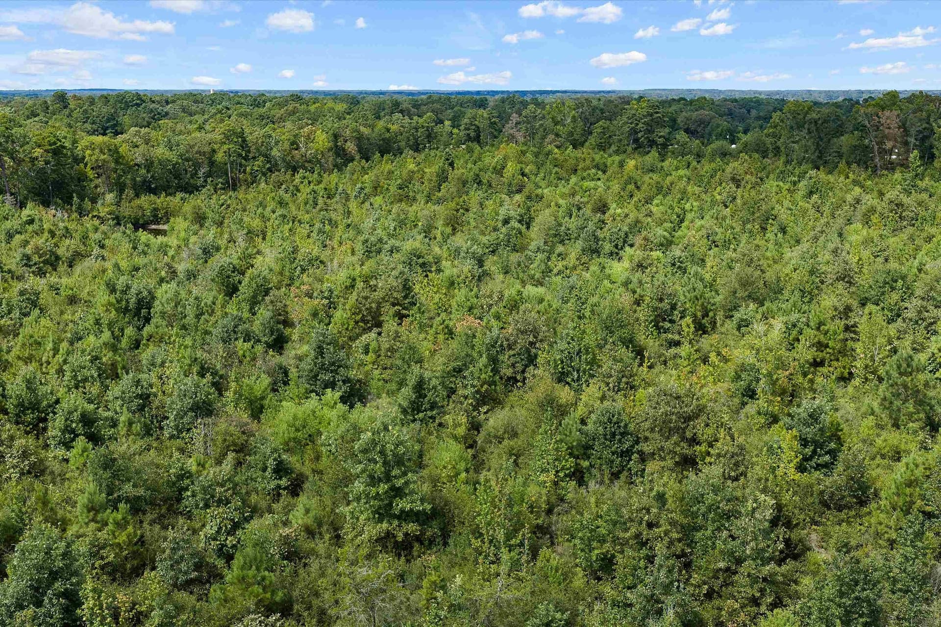 21.89 acres in Texas County - photo 6