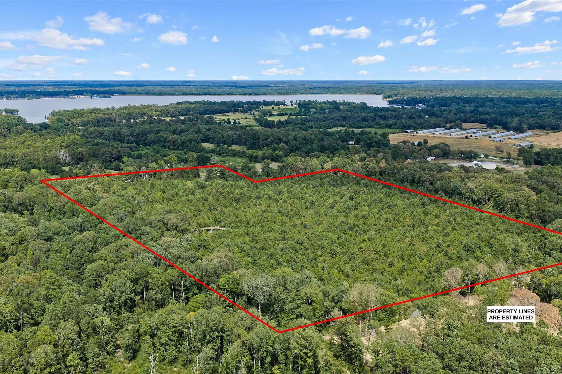 21.89 acres in Texas County - photo 4