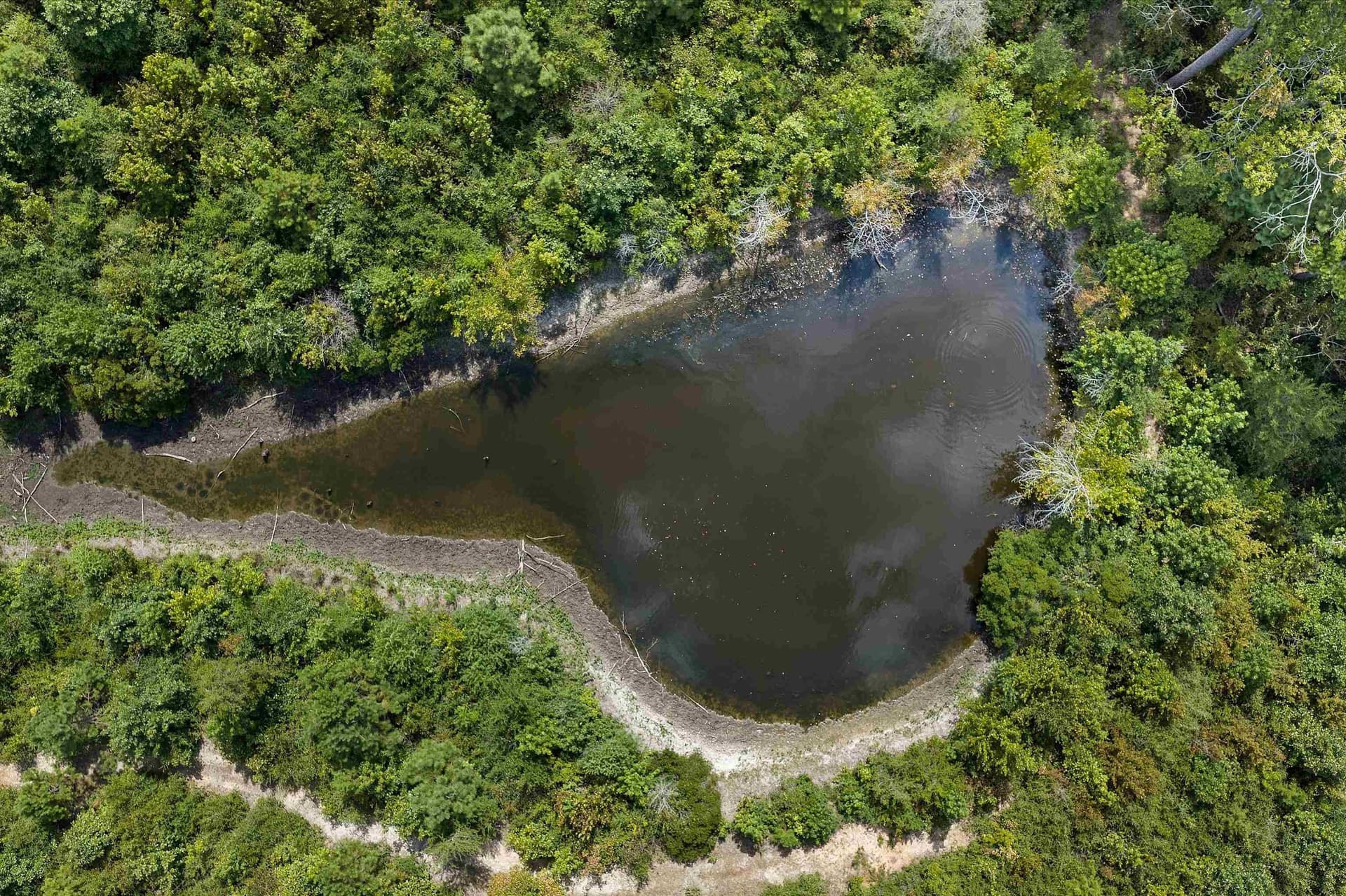 21.89 acres in Texas County - photo 8