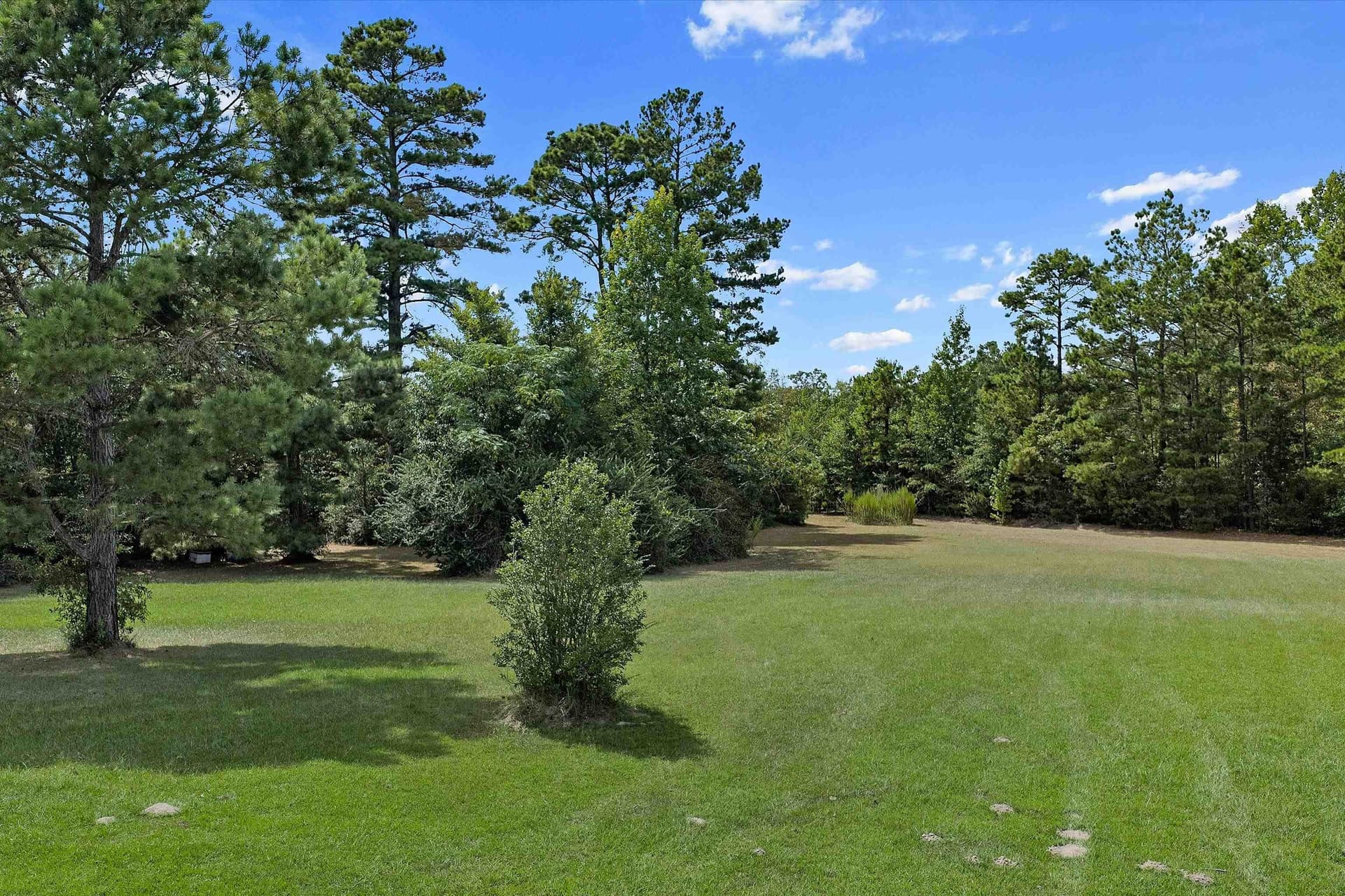 21.89 acres in Texas County - photo 11