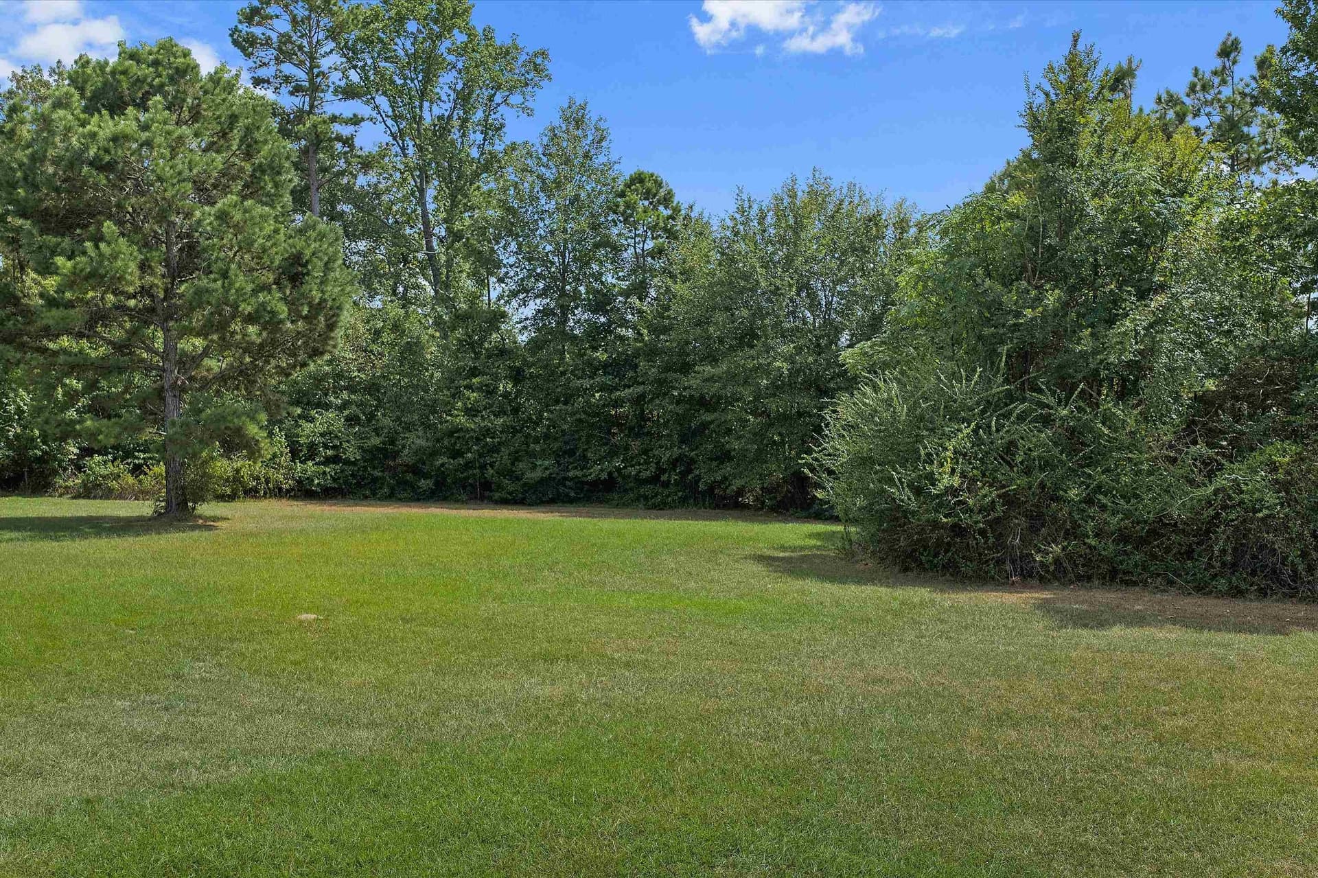 21.89 acres in Texas County - photo 13