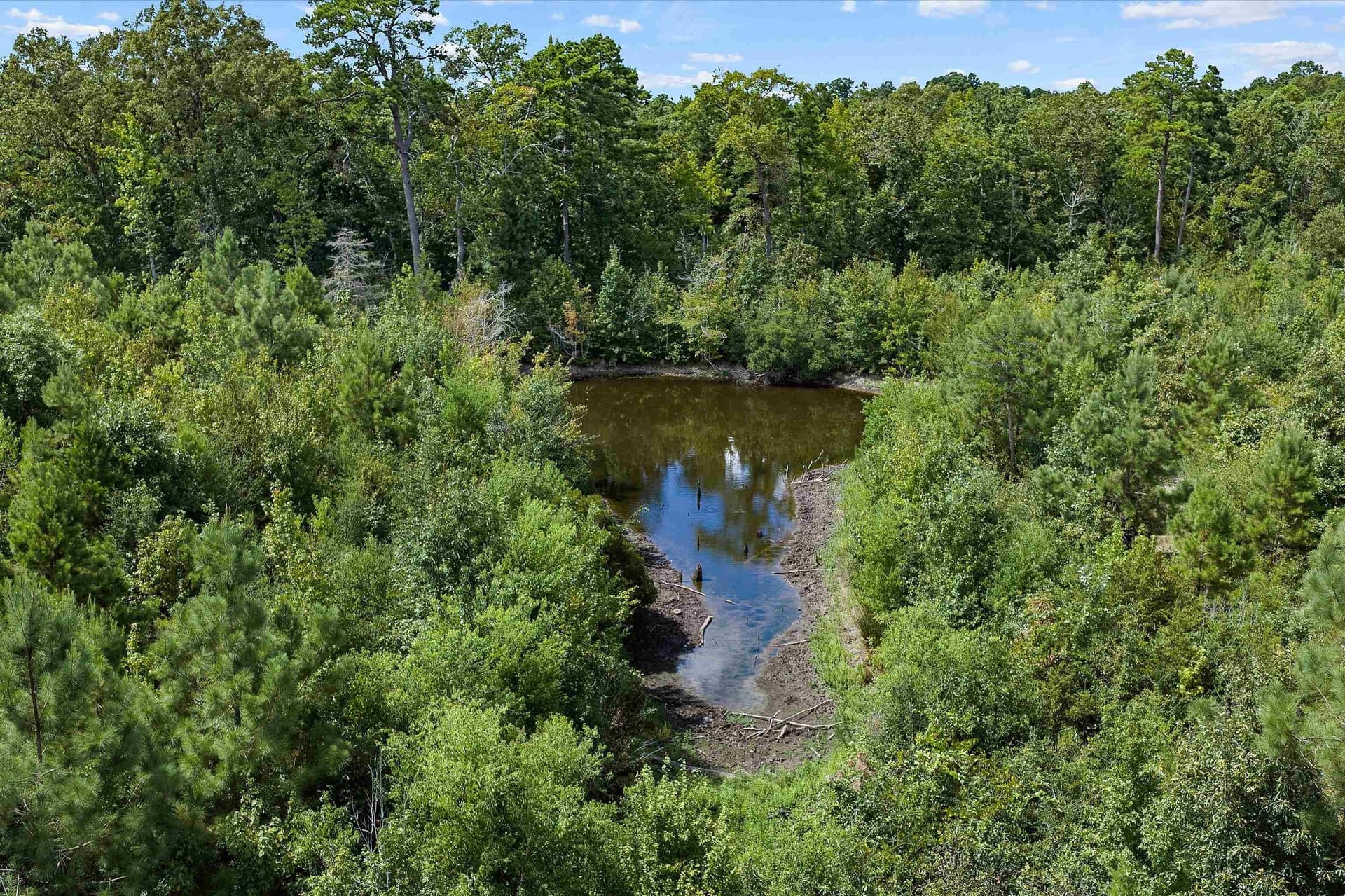 21.89 acres in Texas County - photo 7
