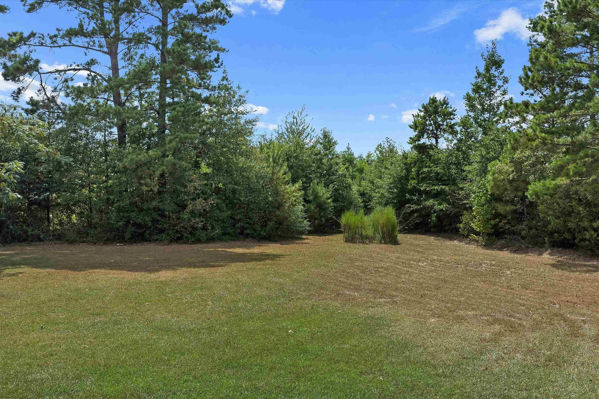 21.89 acres in Texas County - photo 12