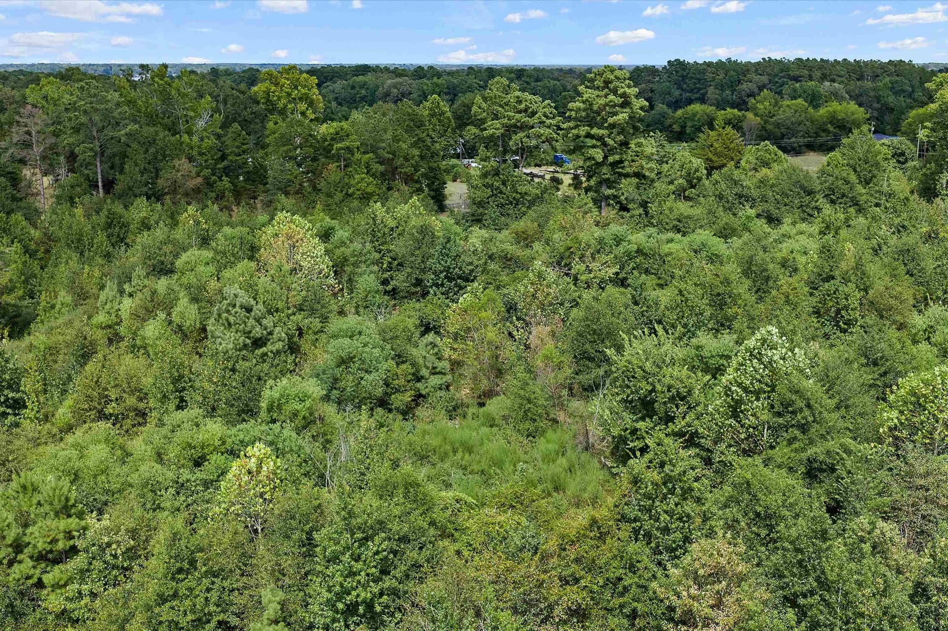 21.89 acres in Texas County - photo 9
