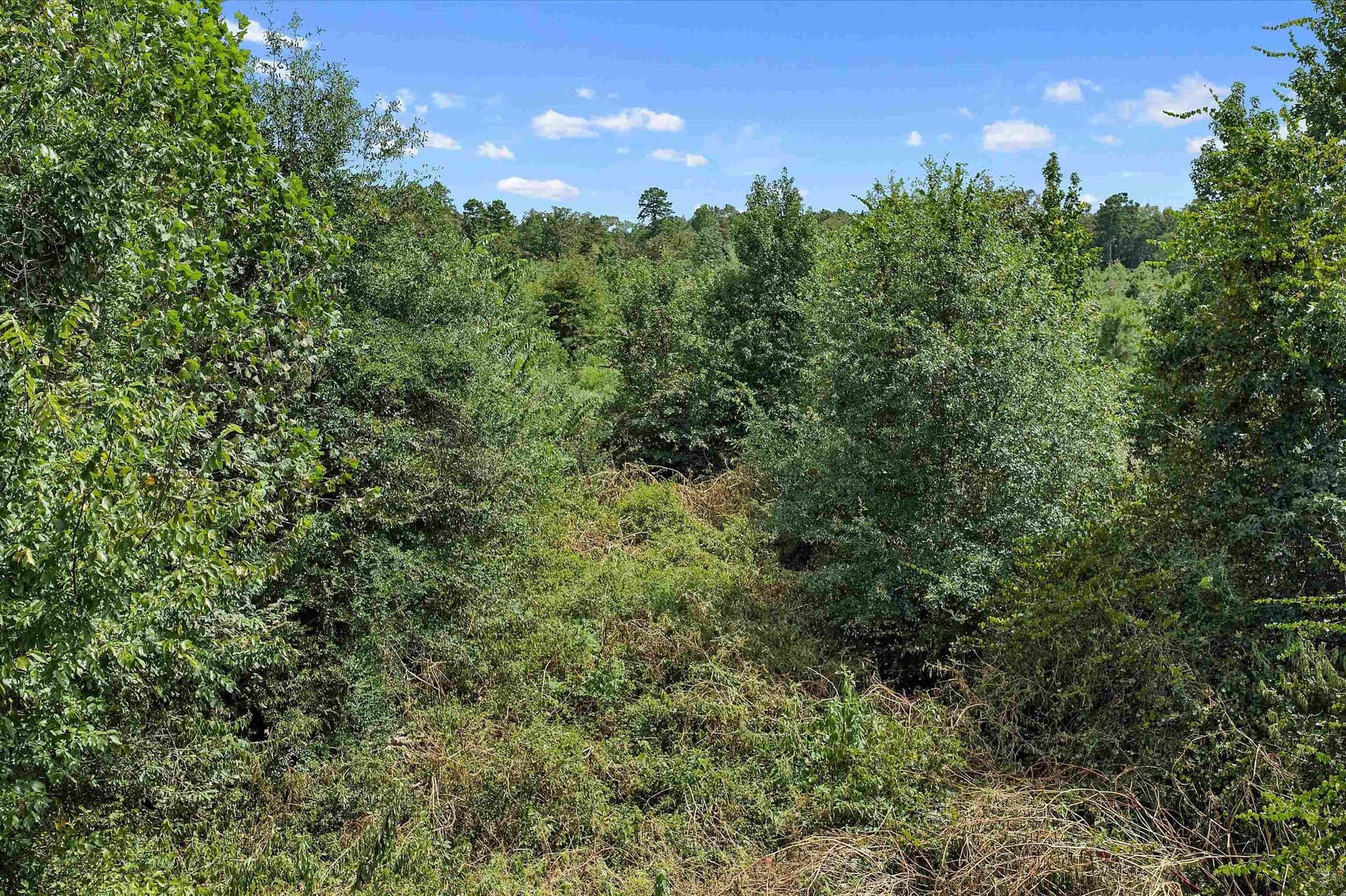 21.89 acres in Texas County - photo 10