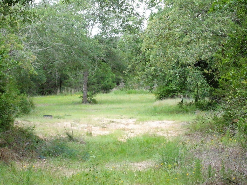 78 acres in Colorado County - photo 5