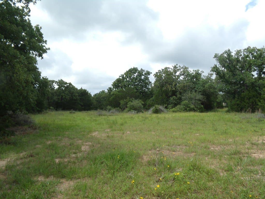 78 acres in Colorado County - photo 19