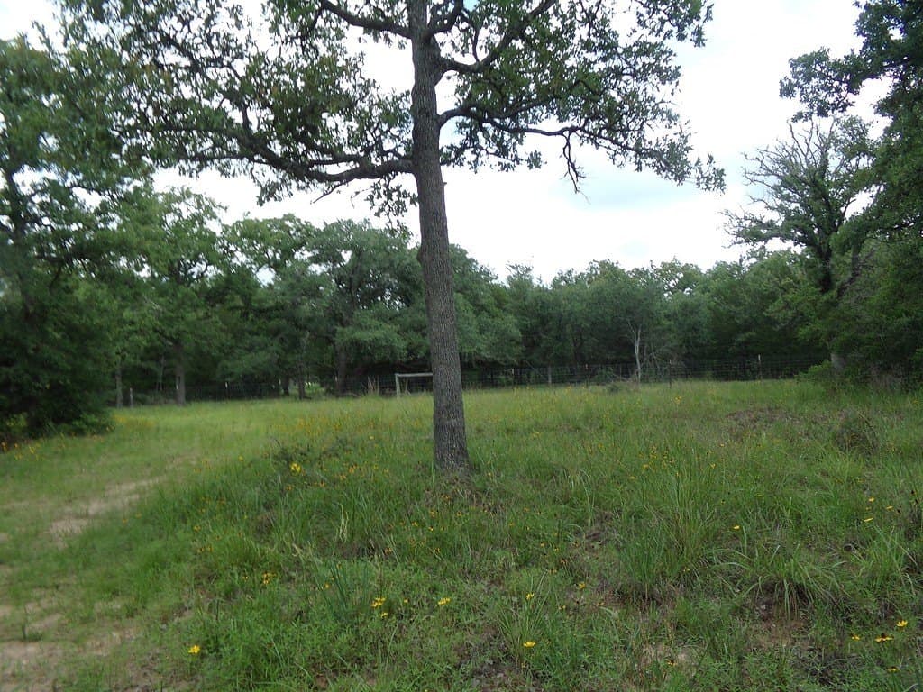 78 acres in Colorado County - photo 15