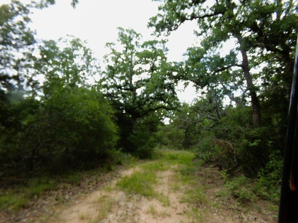 78 acres in Colorado County - photo 10