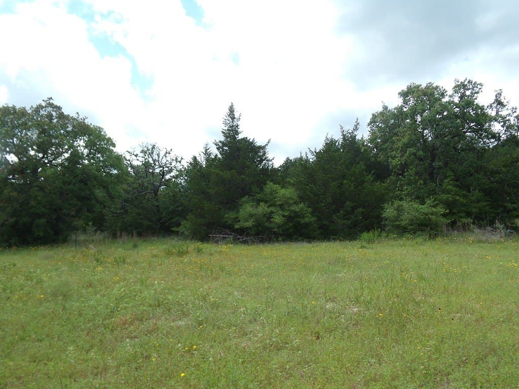 78 acres in Colorado County - photo 23