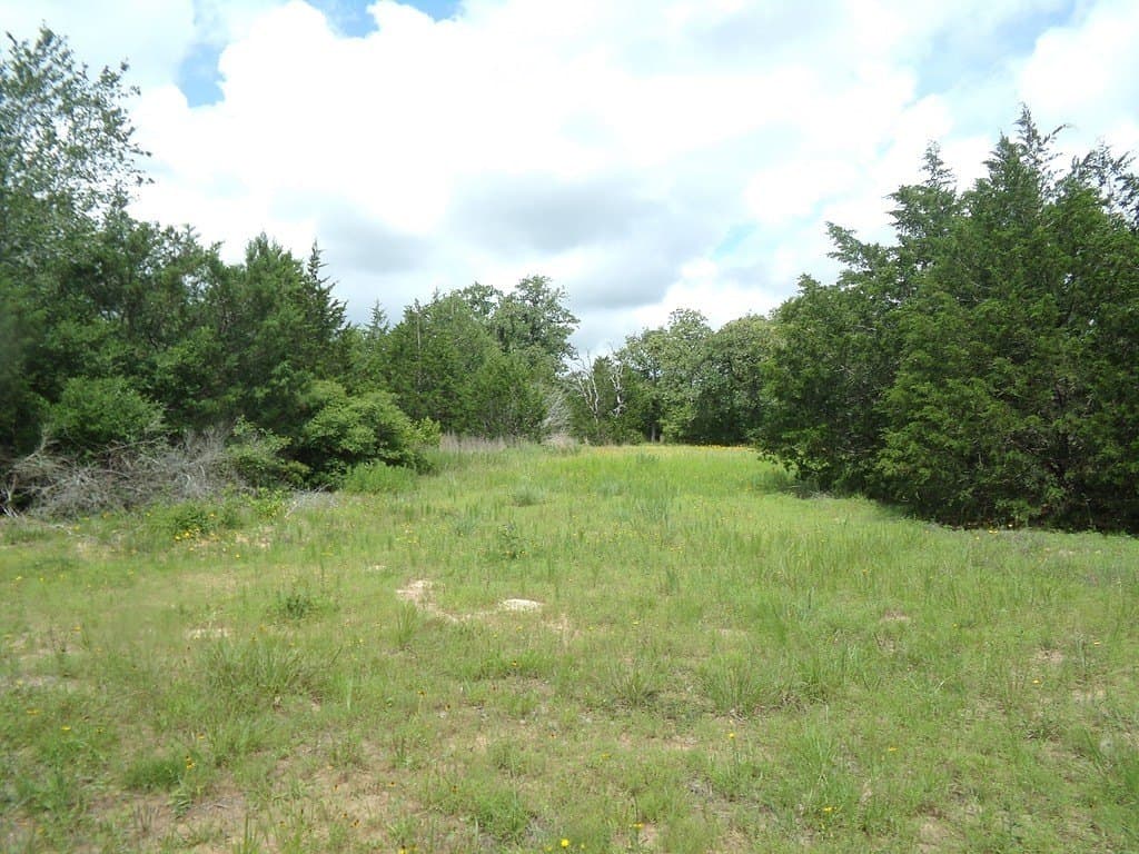 78 acres in Colorado County - photo 20