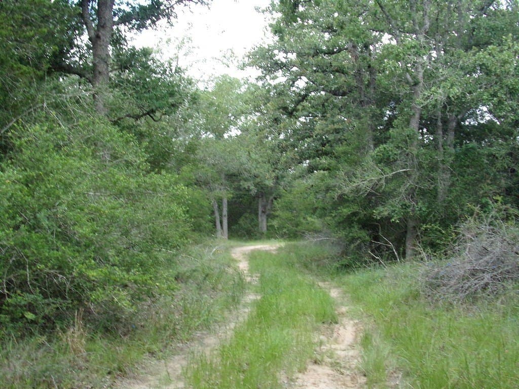 78 acres in Colorado County