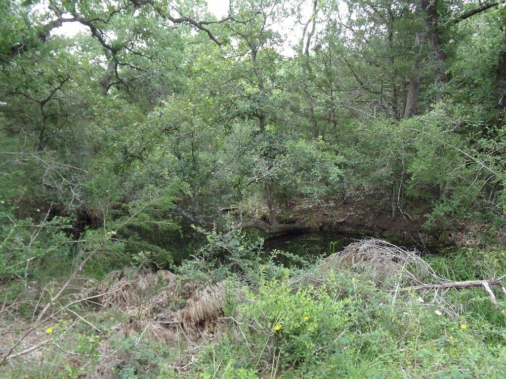 78 acres in Colorado County - photo 18