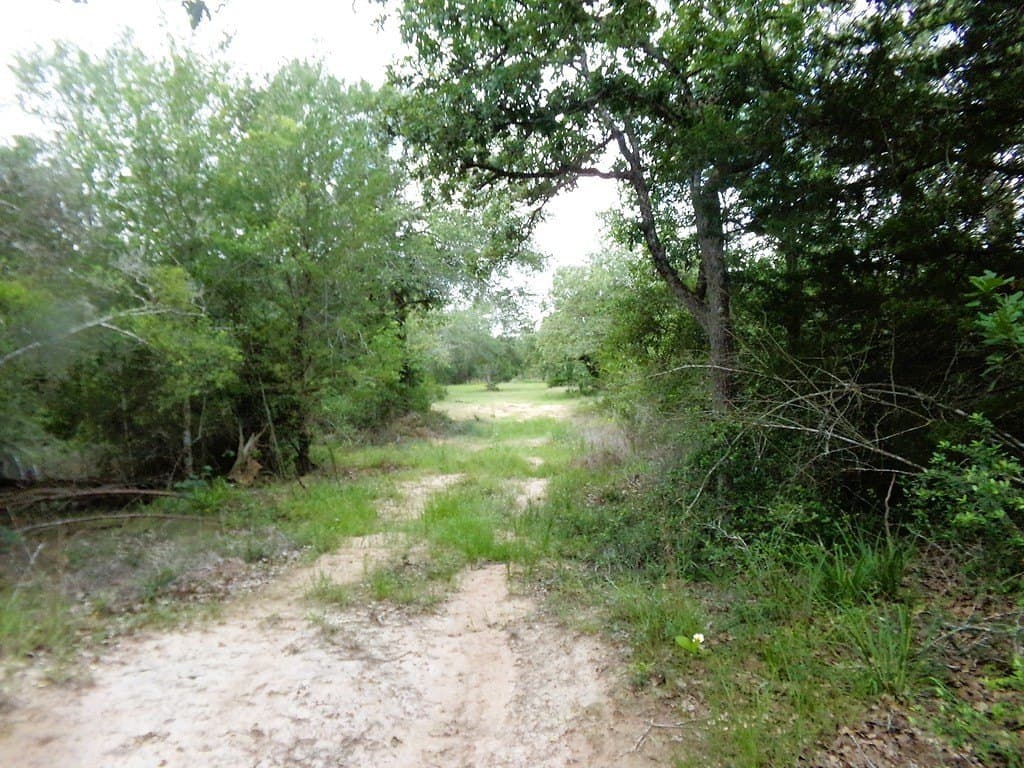 78 acres in Colorado County - photo 4