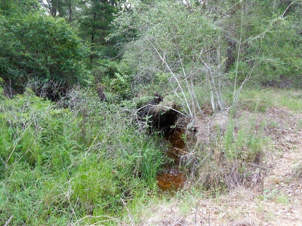 78 acres in Colorado County - photo 7